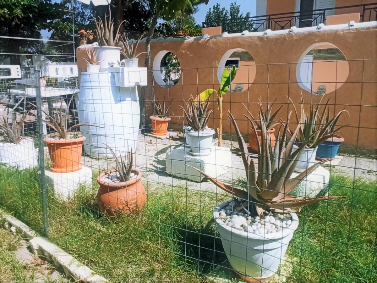 Villa Dina Chania  Exterior foto